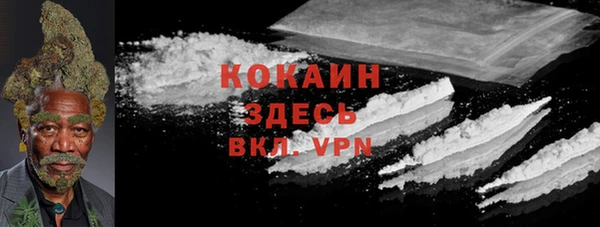 твердый Балахна