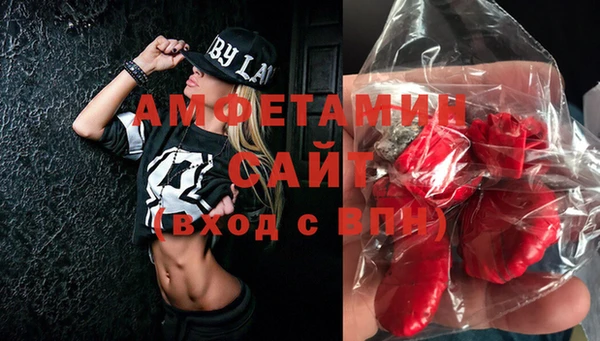 индика Баксан