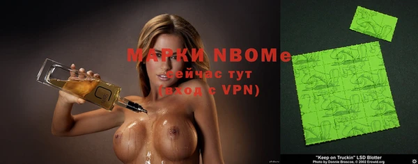 индика Баксан