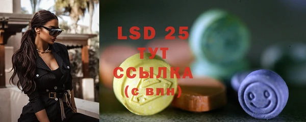 индика Баксан
