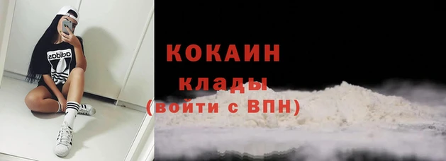 индика Баксан